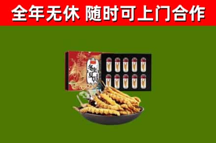 金溪县回收冬虫夏草价格
